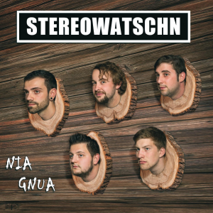 Stereowatschn